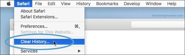 clear history on Safari