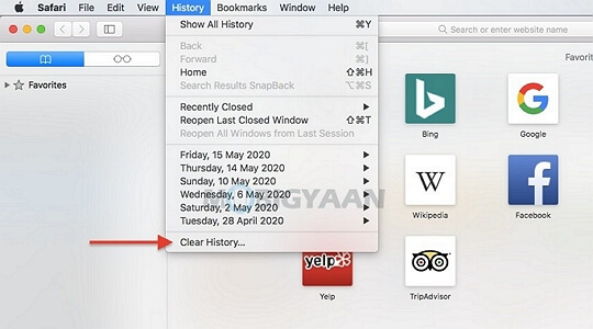 Clear Safari history on Mac