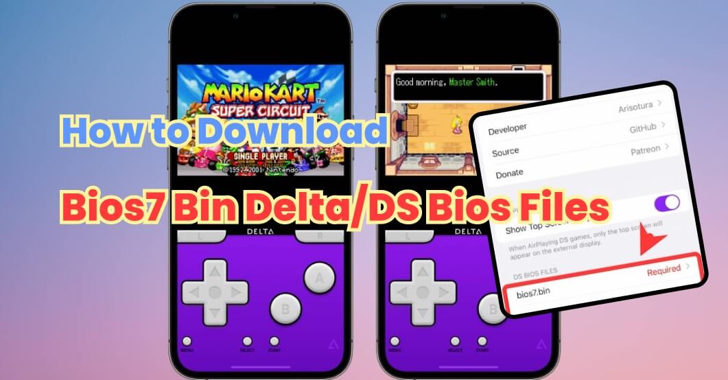 delta nintendo ds bios files