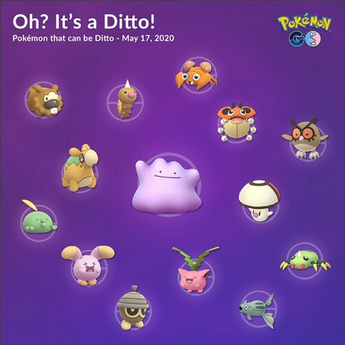 Ditto