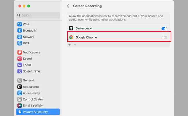 enable screen recording on browser