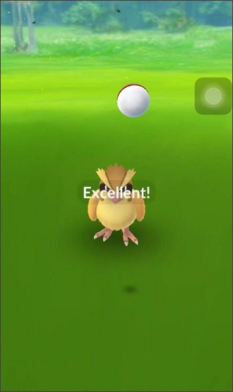 excellent throw in pokemon go