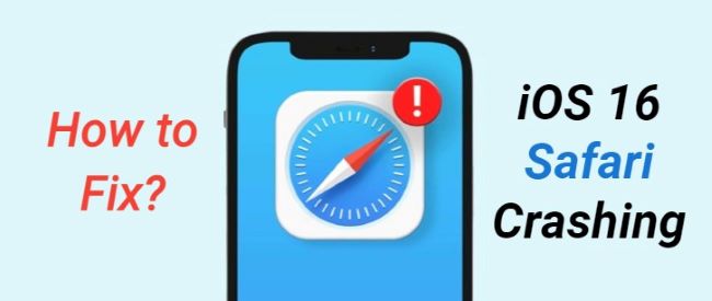 ios 16/17/18 safari crashing