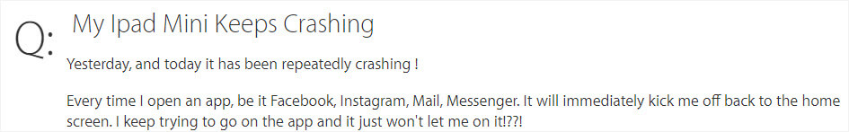 iPad mini keeps crashing case