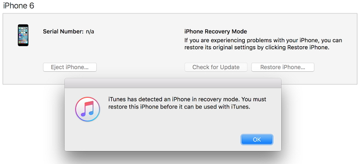 restore iPhone using iTunes