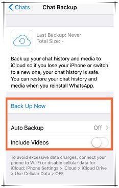 choose chat backup