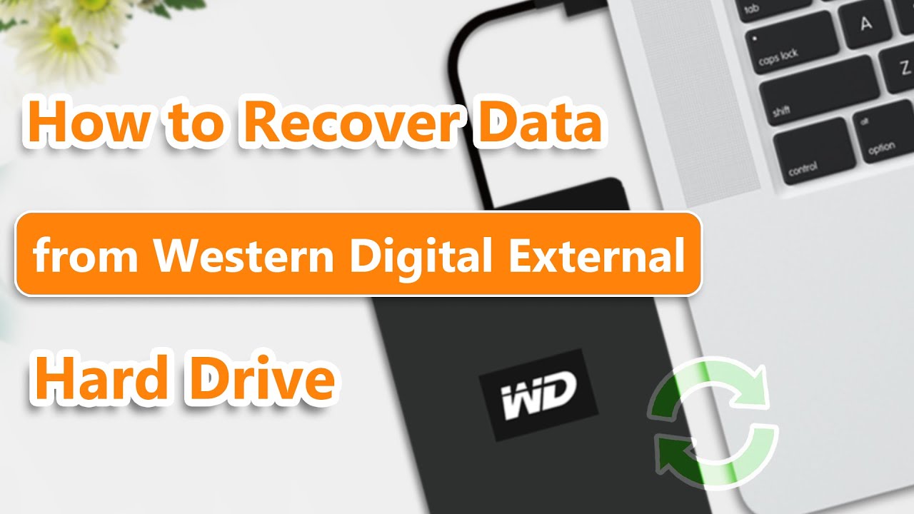 recover data from western digital external hard drive