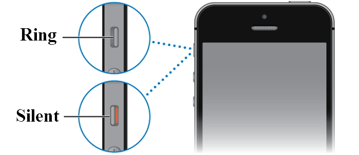 turn off Mute Switch