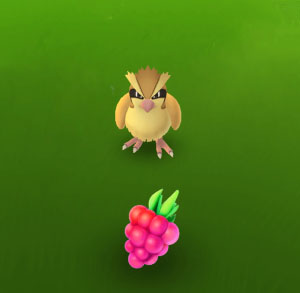 Use RazzBerries to catch regionals