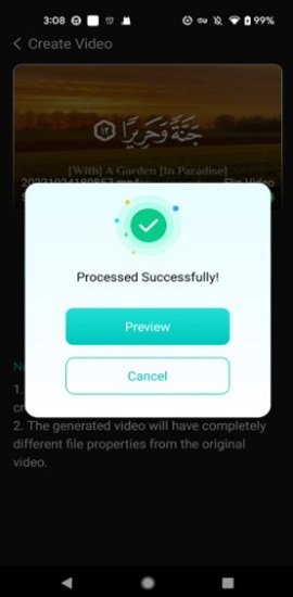 process video successfully