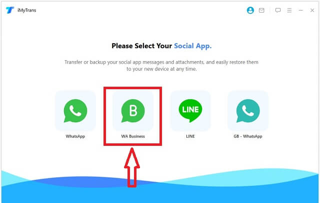 choose whatsapp business