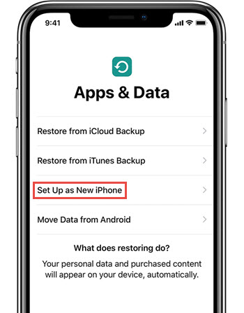 set-up-as-new-iphone