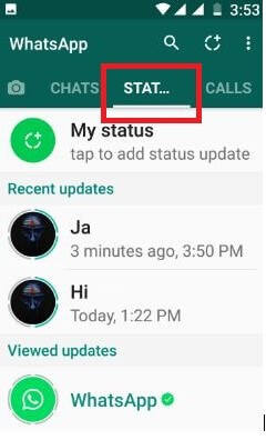 check whatsapp status