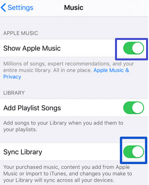 check apple music settings on iphone