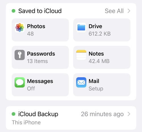 choose the icloud backup option