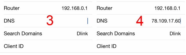 DNS address