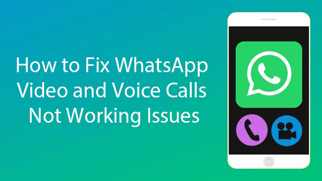 how to fix WhatsApp calls not working