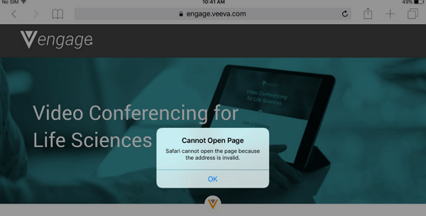 safari cannot open page address invalid