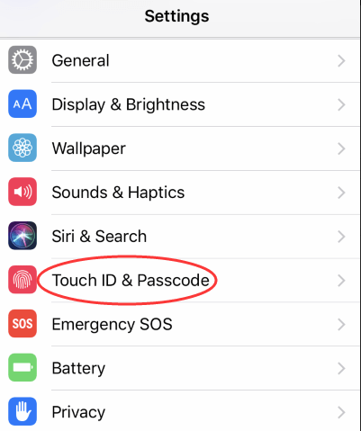 touch id & passcode